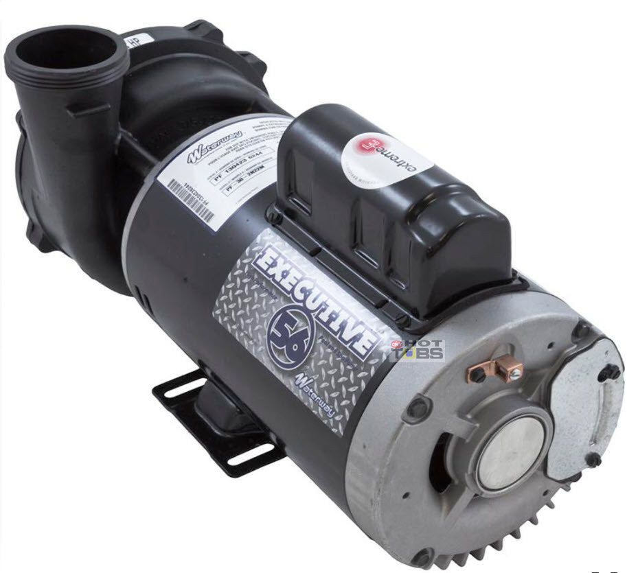 Waterway Executive 4HP 230V 2 Speed 56F pump/motor 2 X 2.5