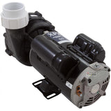 AquaFlo XP2 Pump complete 2 HP, 230V, 2 Speed, 48F
