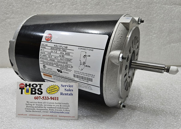 Replacement motor for use in Softub pumps