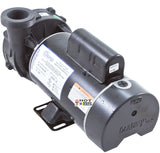 Waterway Hi-Flo Pump complete 3HP 230V 2 speed 48F