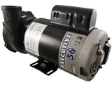 Waterway Executive 3 HP 230V 2 Speed 56F pump/motor