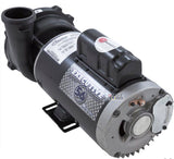 Waterway Executive 4HP 230V 2 Speed 56F pump/motor 2 X 2.5"