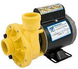 Waterway Iron Might Spa Circulation Pump